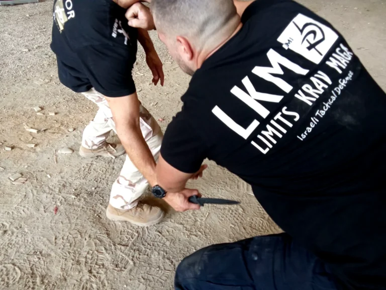 &Sigma;&epsilon;&mu;&iota;&nu;ά&rho;&iota;&omicron; &mu;ί&alpha;&sigmaf; &eta;&mu;έ&rho;&alpha;&sigmaf; Krav Maga &alpha;&pi;ό &tau;&eta;&nu; LKM